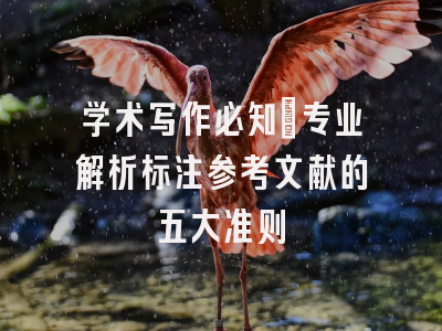 学术写作必知：专业解析标注参考文献的五大准则