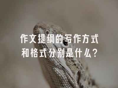 作文提纲的写作方式和格式分别是什么？
