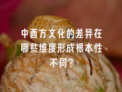 中西方文化的差异在哪些维度形成根本性不同？