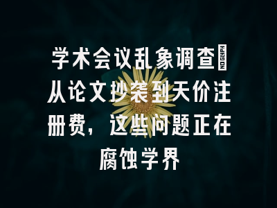 学术会议乱象调查：从论文抄袭到天价注册费，这些问题正在腐蚀学界