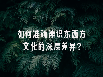 如何准确辨识东西方文化的深层差异？
