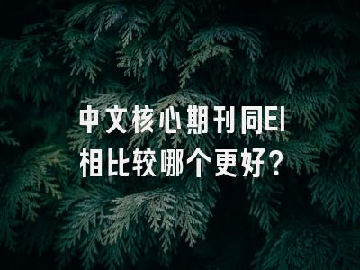 中文核心期刊同EI相比较哪个更好？