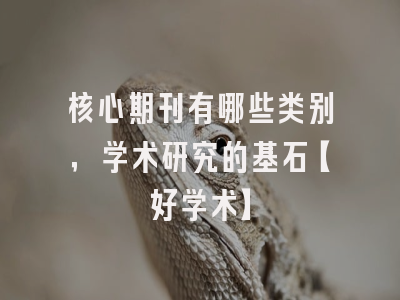 核心期刊有哪些类别，学术研究的基石【好学术】
