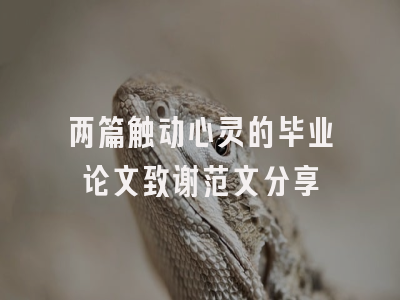 两篇触动心灵的毕业论文致谢范文分享