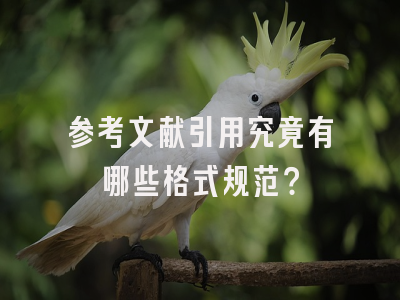 参考文献引用究竟有哪些格式规范？