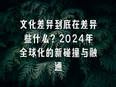 文化差异到底在差异些什么？2024年全球化的新碰撞与融通
