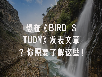想在《BIRD STUDY》发表文章？你需要了解这些！
