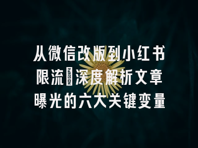 从微信改版到小红书限流：深度解析文章曝光的六大关键变量