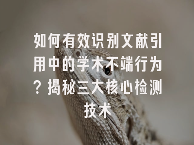 如何有效识别文献引用中的学术不端行为？揭秘三大核心检测技术