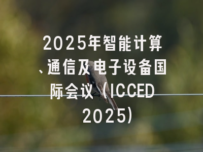 2025年智能计算、通信及电子设备国际会议（ICCED 2025）