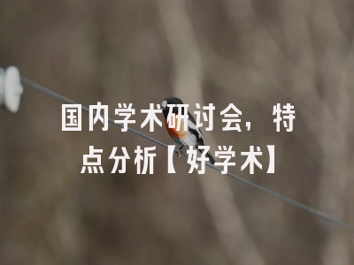国内学术研讨会，特点分析【好学术】