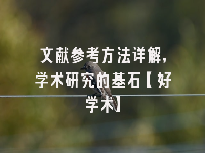 文献参考方法详解，学术研究的基石【好学术】