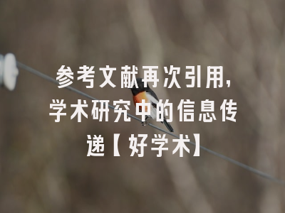 参考文献再次引用，学术研究中的信息传递【好学术】