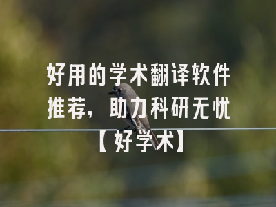 好用的学术翻译软件推荐，助力科研无忧【好学术】