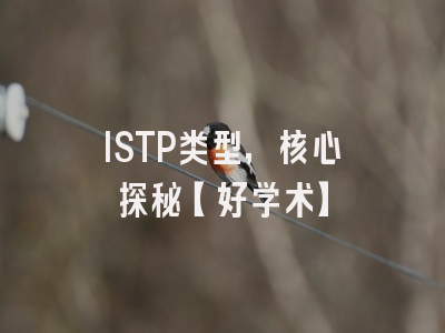 ISTP类型，核心探秘【好学术】