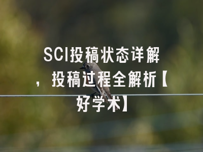 SCI投稿状态详解，投稿过程全解析【好学术】