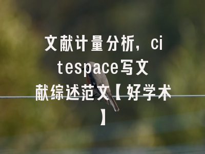 文献计量分析，citespace写文献综述范文【好学术】