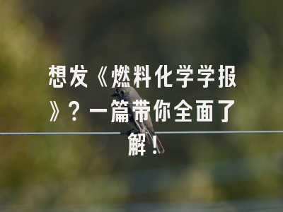 想发《燃料化学学报》？一篇带你全面了解！