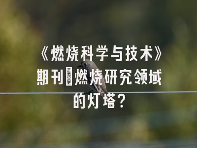 《燃烧科学与技术》期刊：燃烧研究领域的灯塔？