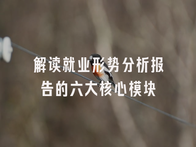 解读就业形势分析报告的六大核心模块