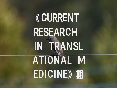 《CURRENT RESEARCH IN TRANSLATIONAL MEDICINE》期刊深度解析与高效投稿指南