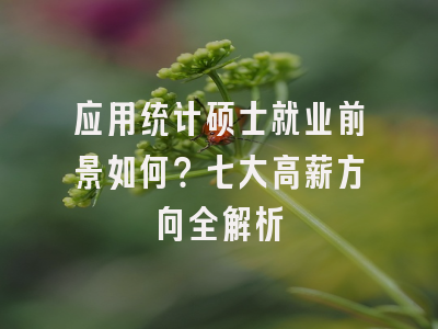 应用统计硕士就业前景如何？七大高薪方向全解析