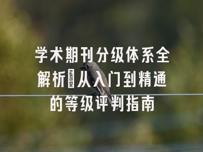 学术期刊分级体系全解析：从入门到精通的等级评判指南