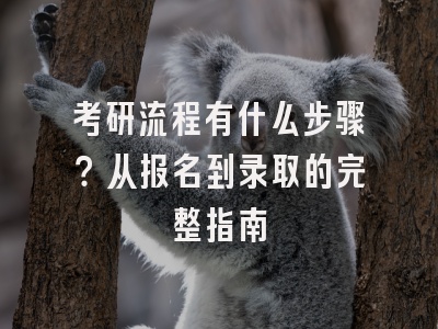 考研流程有什么步骤？从报名到录取的完整指南