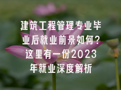 建筑工程管理专业毕业后就业前景如何？这里有一份2023年就业深度解析