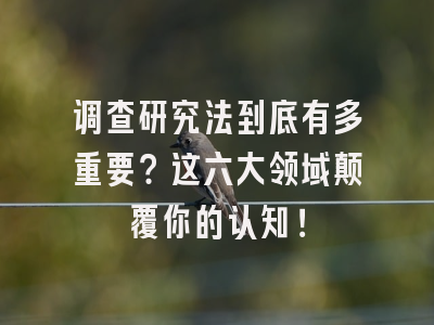 调查研究法到底有多重要？这六大领域颠覆你的认知！