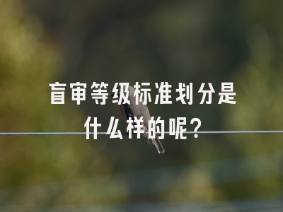 盲审等级标准划分是什么样的呢？