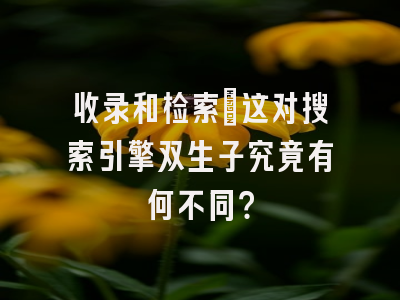 收录和检索：这对搜索引擎双生子究竟有何不同？