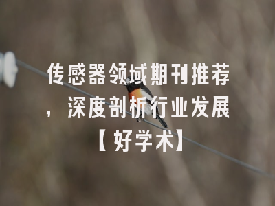 传感器领域期刊推荐，深度剖析行业发展【好学术】