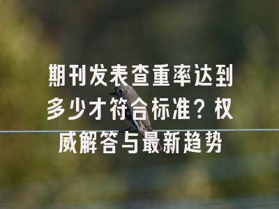 期刊发表查重率达到多少才符合标准？权威解答与最新趋势