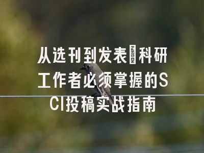 从选刊到发表：科研工作者必须掌握的SCI投稿实战指南
