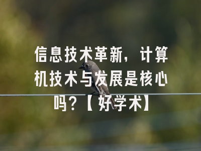 信息技术革新，计算机技术与发展是核心吗？【好学术】
