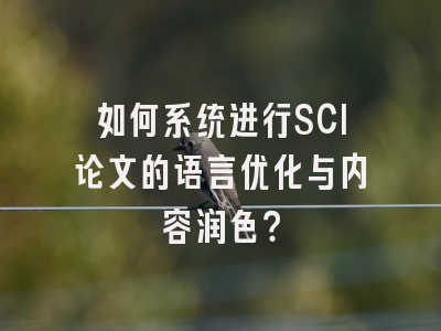 如何系统进行SCI论文的语言优化与内容润色？
