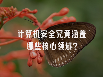 计算机安全究竟涵盖哪些核心领域？
