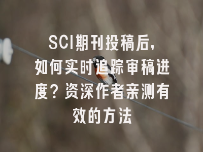 SCI期刊投稿后，如何实时追踪审稿进度？资深作者亲测有效的方法