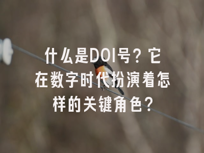 什么是DOI号？它在数字时代扮演着怎样的关键角色？