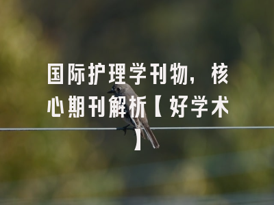 国际护理学刊物，核心期刊解析【好学术】