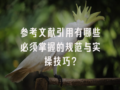 参考文献引用有哪些必须掌握的规范与实操技巧？
