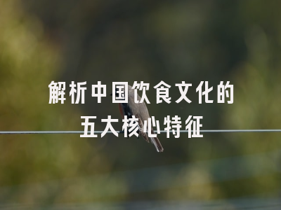 解析中国饮食文化的五大核心特征