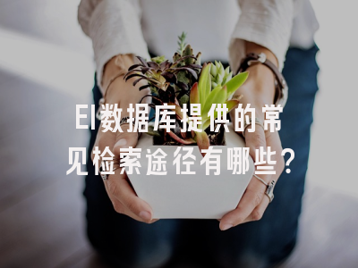 EI数据库提供的常见检索途径有哪些？