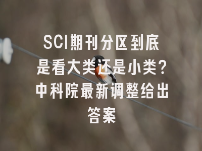 SCI期刊分区到底是看大类还是小类？中科院最新调整给出答案