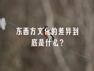 东西方文化的差异到底是什么？