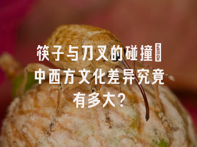 筷子与刀叉的碰撞：中西方文化差异究竟有多大？