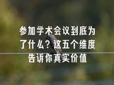 参加学术会议到底为了什么？这五个维度告诉你真实价值