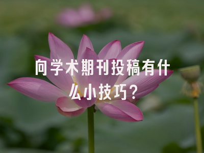 向学术期刊投稿有什么小技巧？