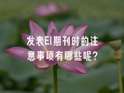 发表EI期刊时的注意事项有哪些呢？